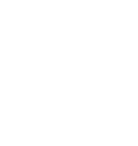 Brune Tischlerei logo